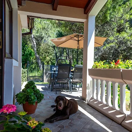 Holiday home Casa Arti In - Haus Fuer 2-4 Personen *